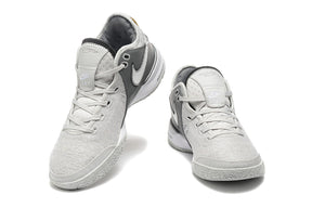 Nike Zoom LeBron NXXT Gen 'Wolf Grey'