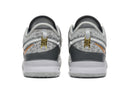 Nike Zoom LeBron NXXT Gen 'Wolf Grey'